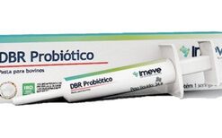 DBR Probiótico pasta